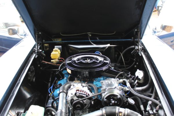 How to Detail an Engine Bay [Easy Step by Step Guide]